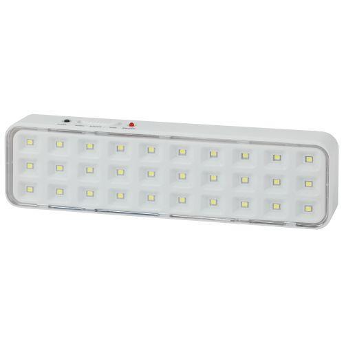 Светильник светодиодный DBA-102-0-20 30LED 5ч IP20 выход аварийный непостоянный Эра Б0044395